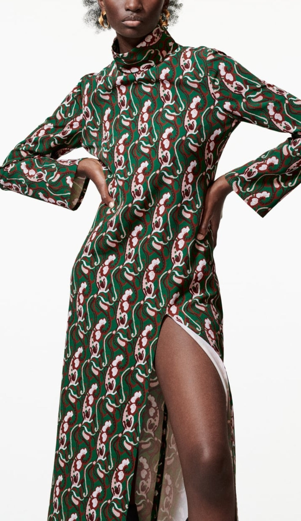 Printed Midi dress